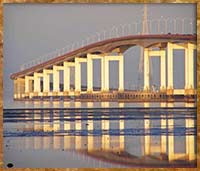 The Bridge
