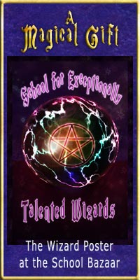 The Wizard Poster